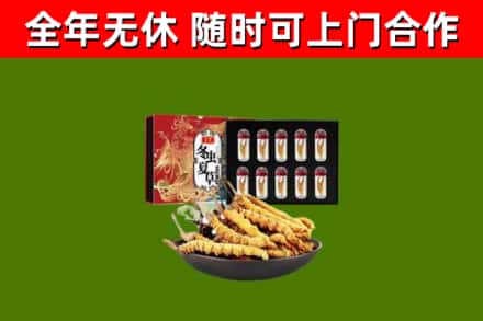 河北回收冬虫夏草价格
